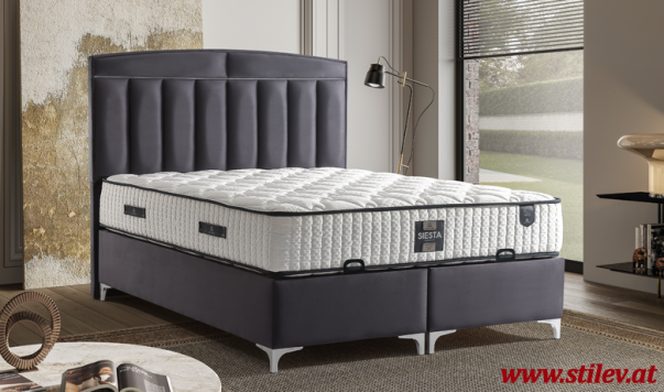 Siesta Bett mit Matratze 160x200cm