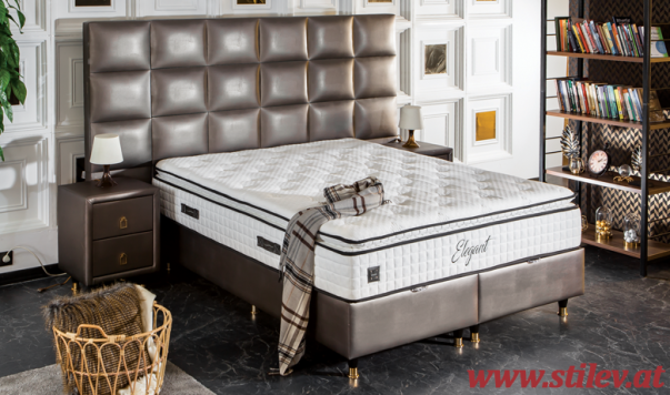 Elegant Bett mit Matratze 160x200 cm