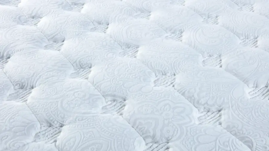 rs=w_1300,h_800 (1)
