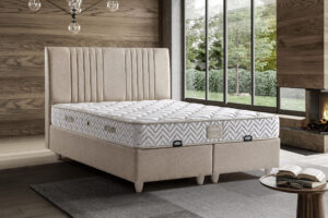 1-ALİZE SET gold krem