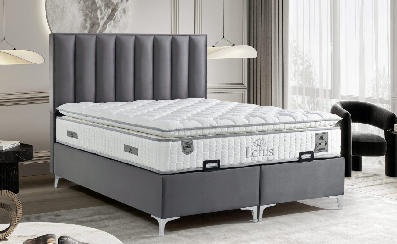 1-LOTUS SET venüs soft gri