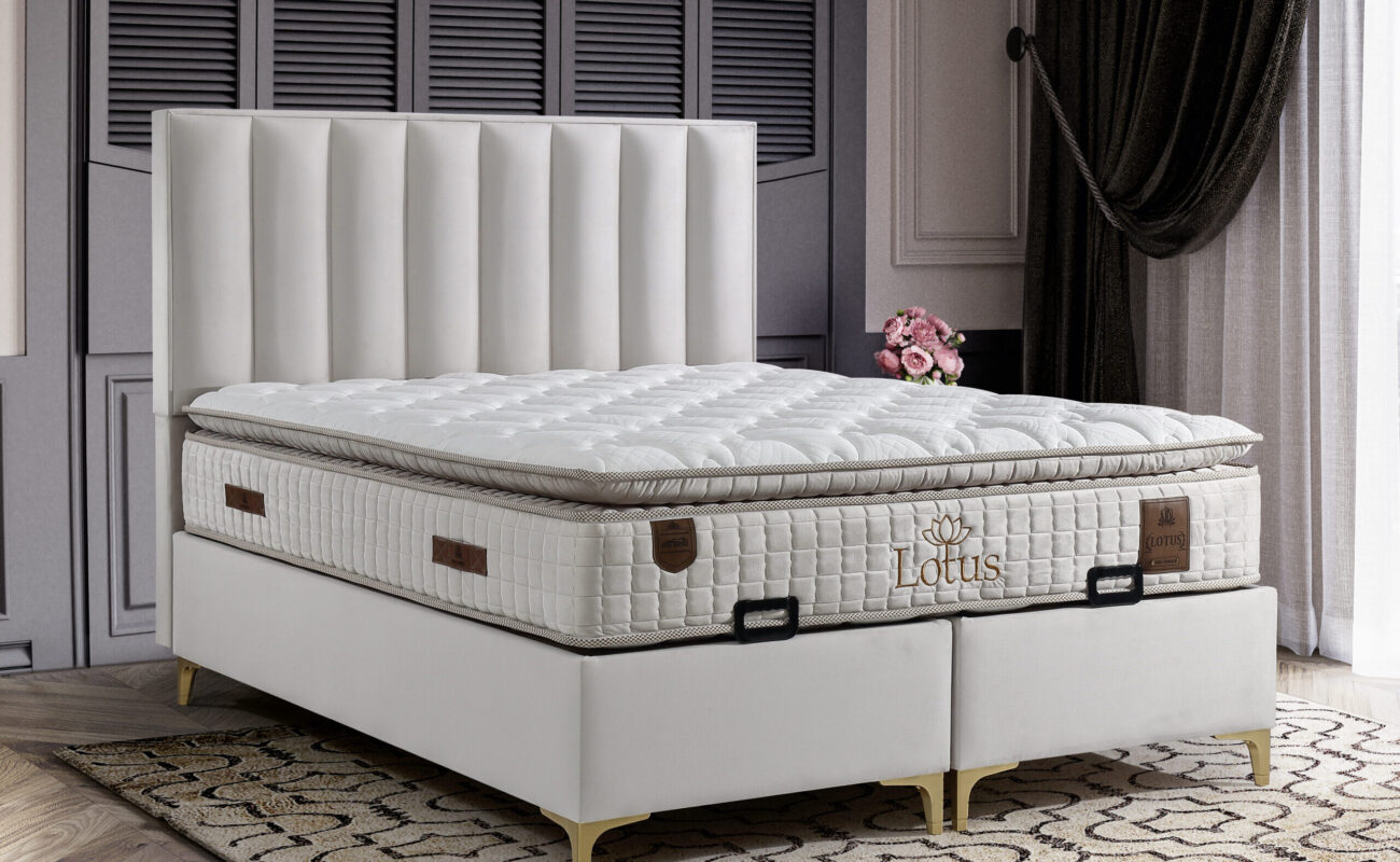 1-LOTUS SET venüs soft krem