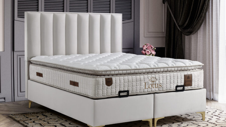 1 LOTUS SET venues soft krem scaled e1746706985479