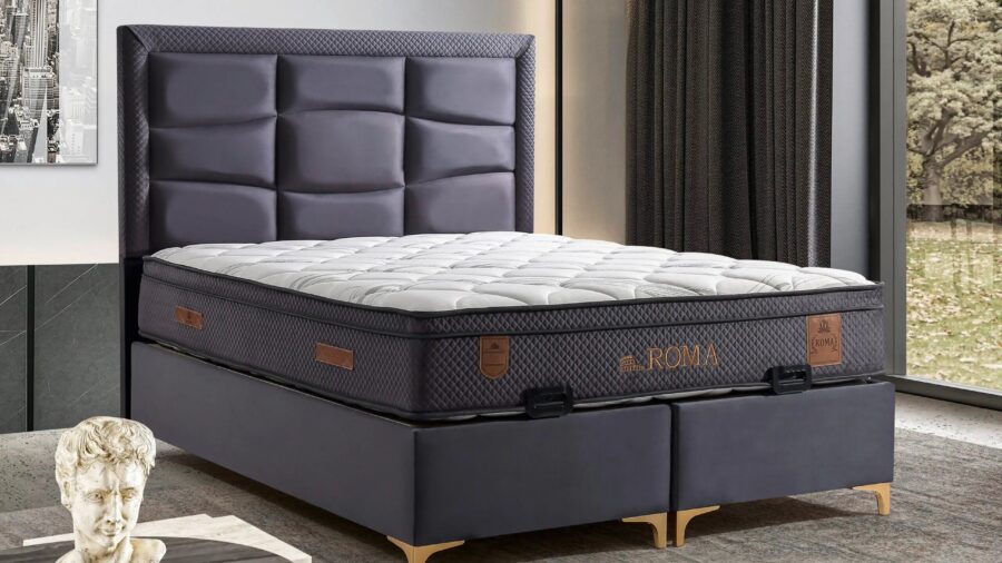 1 ROMA SET leon koyu lacivert scaled e1746610786527 Duezenlendi