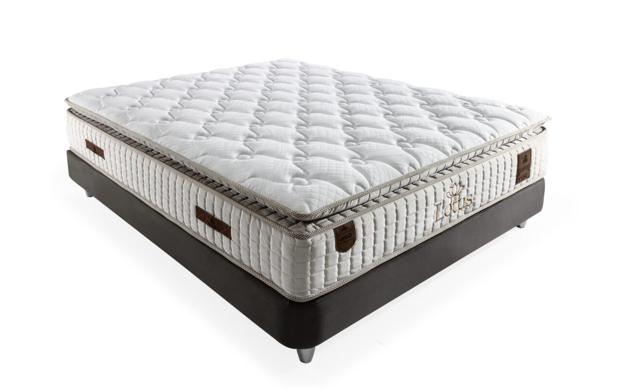 4-LOTUS YATAK venüs soft krem