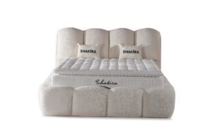 05-SHAKİRA 2