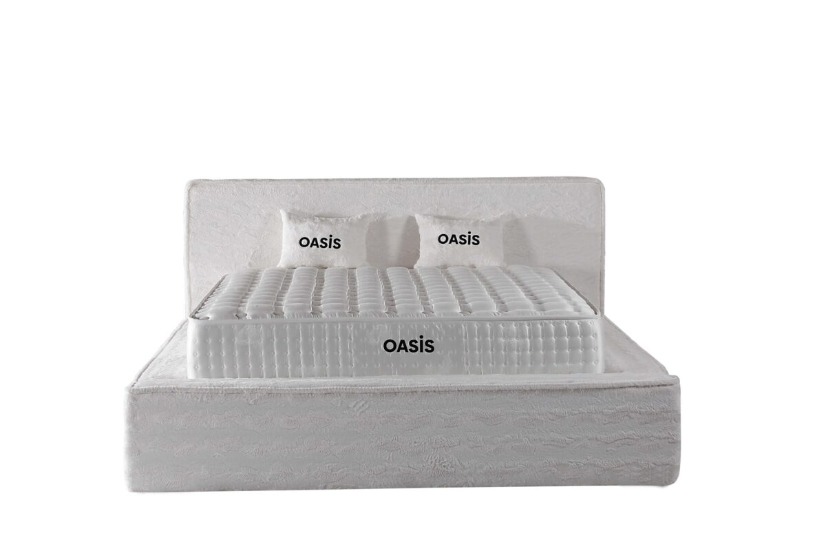 09-OASİS 2