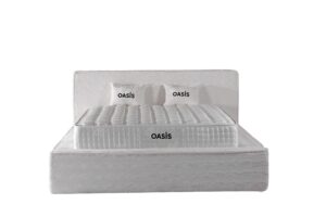 09-OASİS 2