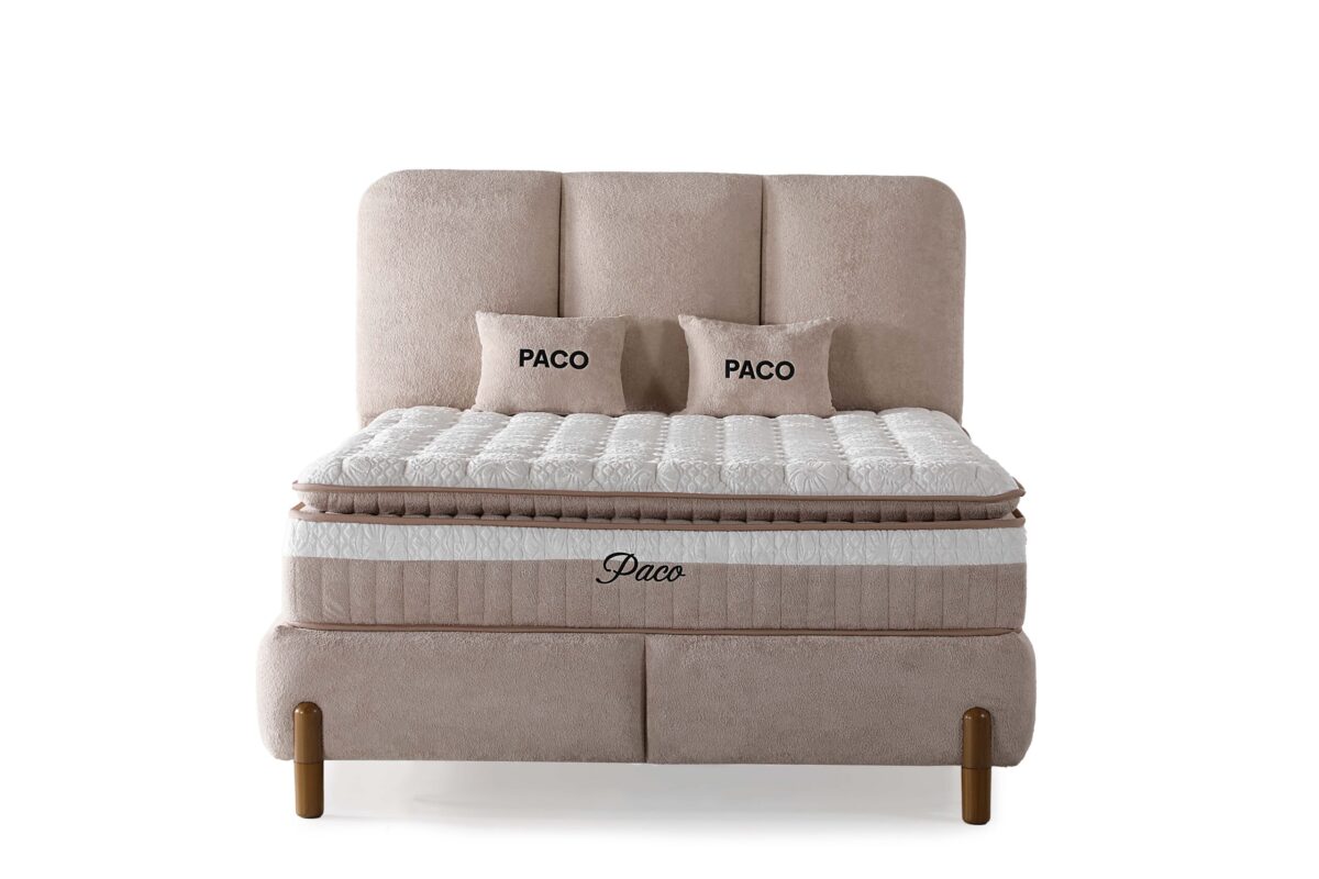 22-PACO 2