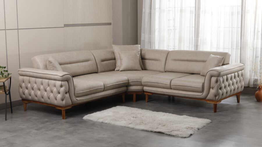 2024 11 01 IMG 028554