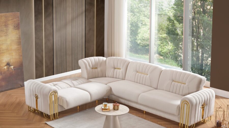 WhatsApp Image 2026-02-16 at 12.36.43 (1)