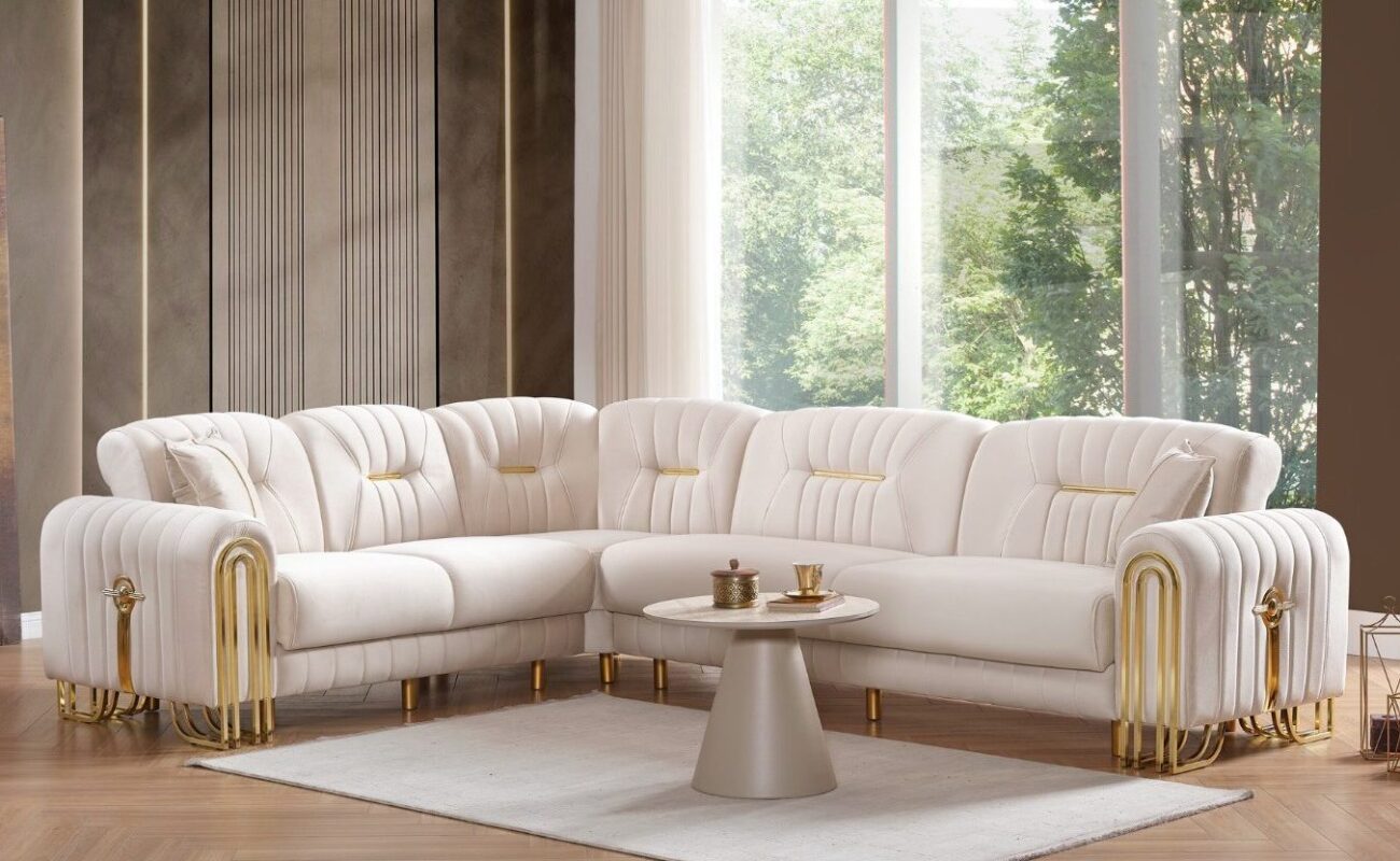 WhatsApp Image 2026-02-16 at 13.23.20