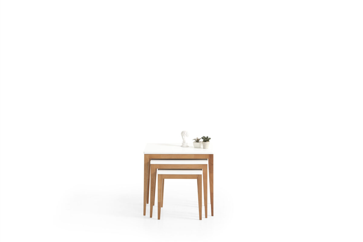 581 WHITE (2)