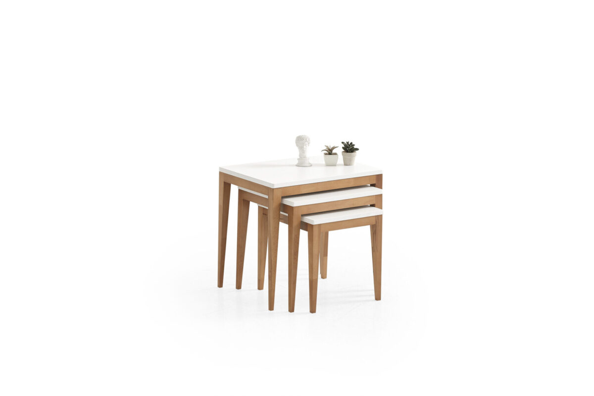 581 WHITE (4)